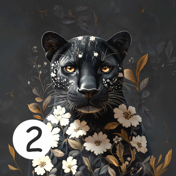 Nowości - obrazek 3