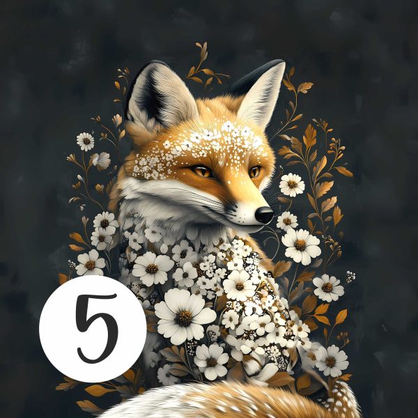 Nowości - obrazek 15
